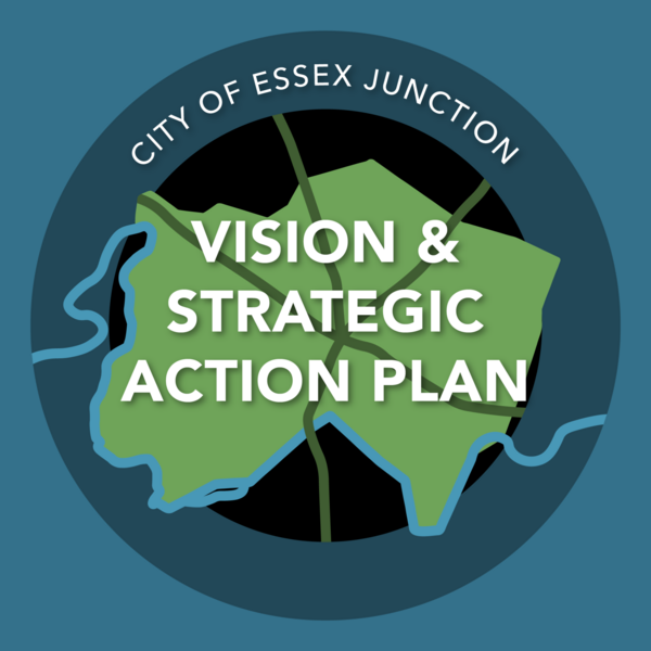 Vision and Strategic Action Plan Logo